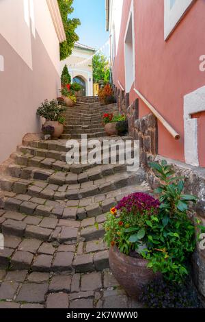 Schönes buntes Stadtbild von Szentendre mit herbstlichen Blumentöpfen auf einer schmalen Treppe Stockfoto