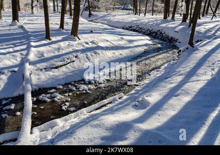 Ein kleiner namenlos Bach fließt durch die Winterwälder im Hammel Woods Forest Preserve in will County, Illinois Stockfoto