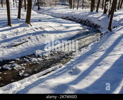 Ein kleiner namenlos Bach fließt durch die Winterwälder im Hammel Woods Forest Preserve in will County, Illinois Stockfoto