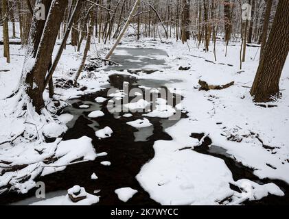 Hammel Creek fließt im Winter durch die Hammel Woods, bis er sich an den DuPage River, Hammel Woods Forest Preserve, will County, IL, anschließt Stockfoto