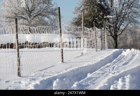 Winterbilder aus dem Teutoburger Wald Stockfoto