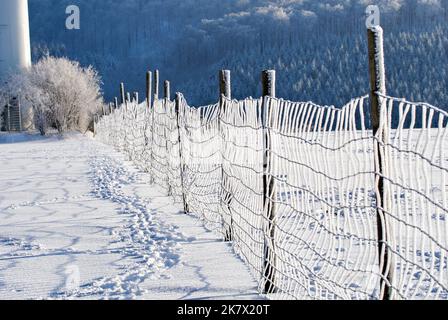 Winterbilder aus dem Teutoburger Wald Stockfoto