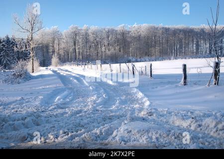 Winterbilder aus dem Teutoburger Wald Stockfoto