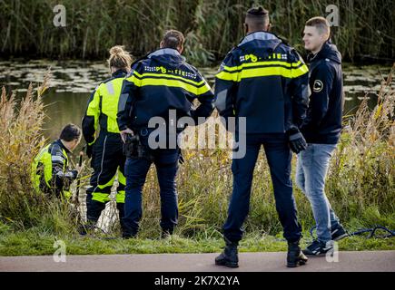 Den Bosch, Niederlande. 20. Oktober 2022. 2022-10-19 17:14:53 SPRANG-CAPPELLE - ANP SEM VAN DER WAL niederlande aus - belgien aus Credit: ANP/Alamy Live News Stockfoto