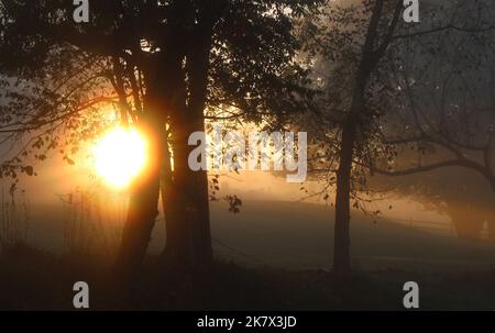 Goldene Morgensonne, die an einem Herbstmorgen durch den Nebel scheint Stockfoto