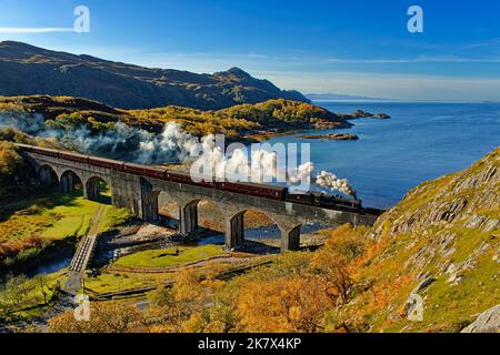 Jacobite Dampfzug mit Rauch und Überquerung der acht Bogen Loch Nan Uamh Viadukt mit sieben Wagen Schottland im Herbst Stockfoto