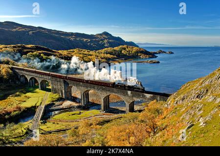 Jacobite Dampfzug mit Rauch überquert das acht Bögen Loch Nan Uamh Viadukt mit sieben Wagen Schottland im Herbst Stockfoto