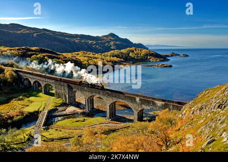 Jacobite Dampfzug mit Rauch überquert die acht Bogen Nan Uamh Viaduct Westküste Bahnlinie Schottland im Herbst Stockfoto