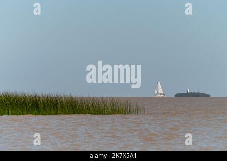 Ein Segelboot am Horizont, das am Fluss La Plata vor Colonia del Sacramento, Uruguay, segelt Stockfoto