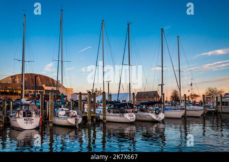 Segelboote in Dusk, Annapolis Harbour, Maryland, Annapolis, Maryland Stockfoto
