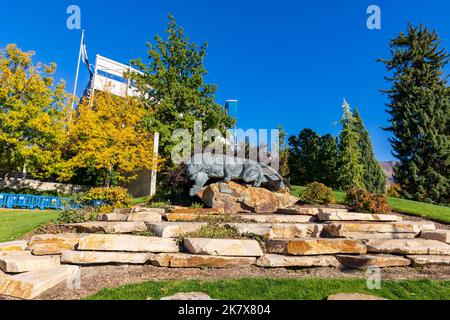 Provo, UT - 14. Oktober 2022: Cougar Mascot vor dem Lavell Edwards Stadium auf dem Campus der Brigham Young University, BYU, in Provo, Utah. Stockfoto