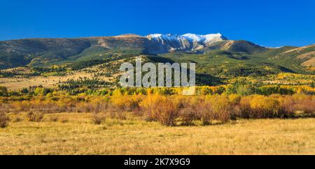 Panorama der Herbstfarben unter dem Berg haggin in der Anaconda-Reihe in der Nähe von Anaconda, montana Stockfoto