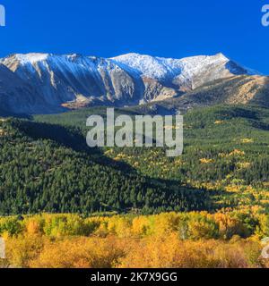 Farben des Herbstes unter Mount Haggin im Bereich "Anaconda" in der Nähe von Anaconda, montana Stockfoto