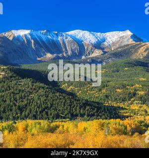 Farben des Herbstes unter Mount Haggin im Bereich "Anaconda" in der Nähe von Anaconda, montana Stockfoto