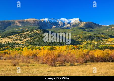 Farben des Herbstes unter Mount Haggin im Bereich "Anaconda" in der Nähe von Anaconda, montana Stockfoto