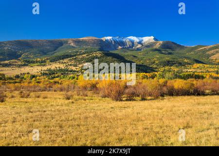 Farben des Herbstes unter Mount Haggin im Bereich "Anaconda" in der Nähe von Anaconda, montana Stockfoto