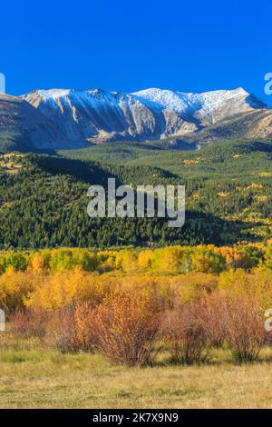 Farben des Herbstes unter Mount Haggin im Bereich "Anaconda" in der Nähe von Anaconda, montana Stockfoto