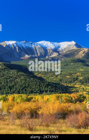 Farben des Herbstes unter Mount Haggin im Bereich "Anaconda" in der Nähe von Anaconda, montana Stockfoto