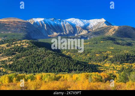 Farben des Herbstes unter Mount Haggin im Bereich "Anaconda" in der Nähe von Anaconda, montana Stockfoto