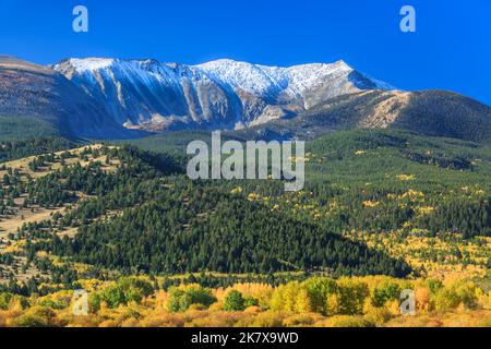 Farben des Herbstes unter Mount Haggin im Bereich "Anaconda" in der Nähe von Anaconda, montana Stockfoto