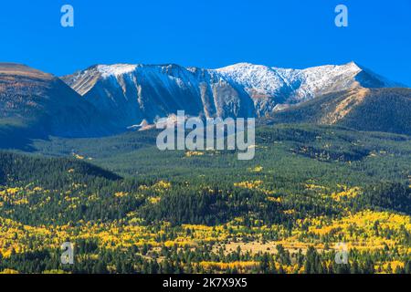 Farben des Herbstes unter Mount Haggin im Bereich "Anaconda" in der Nähe von Anaconda, montana Stockfoto