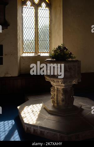 Steinfont in der St. Mary's Church Grundisburgh, Suffolk Stockfoto