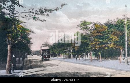 Blick aus den 20er Jahren auf die Abbey Road, einen baumgesäumten Boulevard, Barrow-in-Furness, Cumbria, England, UK Stockfoto