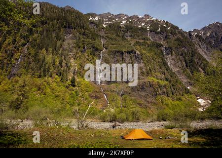 WA22395-00...WASHINGTON - Zeltplatz in der Nähe des alten Enchanted Valley Chalet am Quinault River im Olympic National Park. Stockfoto