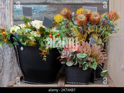 Schöne bunte Blumenarrangement bestehend aus drei Blumentöpfen Stockfoto