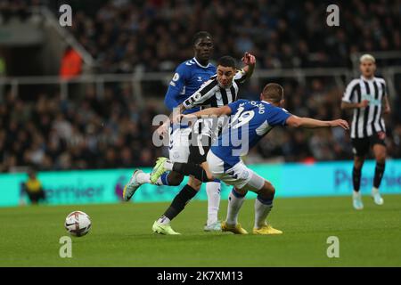 Newcastle, Großbritannien. 19.. Oktober 2022. Miguel Almiron von Newcastle United in Aktion mit Amadou Onana von Everton und Vitaliy Mykolenko während des Premier League-Spiels zwischen Newcastle United und Everton im St. James's Park, Newcastle am Mittwoch, 19.. Oktober 2022. (Kredit: Mark Fletcher | MI News) Kredit: MI Nachrichten & Sport /Alamy Live News Stockfoto