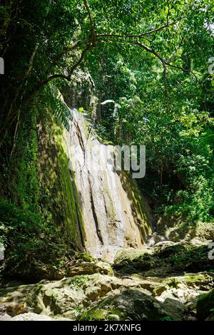 los Cocos Wasserfall in samana in der dominikanischen republik Stockfoto