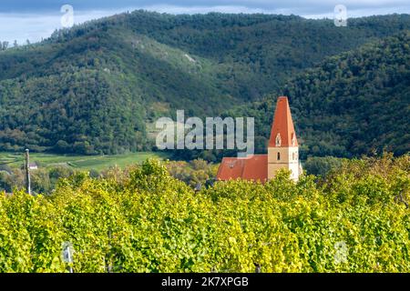 Wachau Vineyards, Weissenkirchen in Österreich - Wachau Region countryside Stockfoto