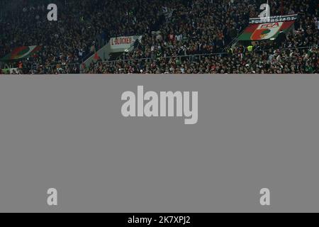 Augsburg, Deutschland. 19. Oktober 2022. firo : 19. Oktober 2022, Fußball, DFB-Pokal, Saison 2022/2023, 2. Cup-Runde FC Augsburg - FC Bayern München FC Augsburg, FCA, Augsburg, Fans, Schal, Flaggen, choreo, Credit: dpa/Alamy Live News Stockfoto