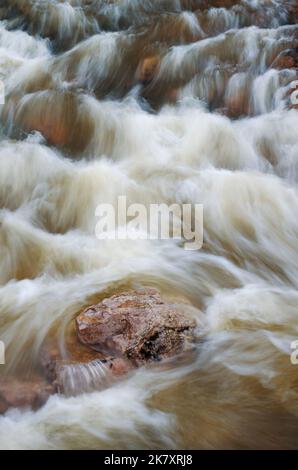 Otter Creek fließt durch Baxters Hollow State Natural Area im Baraboo Hills Gebiet im Zentrum von Wisconsin, Sauk County, Wisconsin Stockfoto