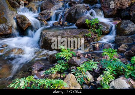 Das Wasser gurgelt einige Felsen in Parfrey's Glen, Devil's Lake State Park, Sauk County, Wisconsin Stockfoto