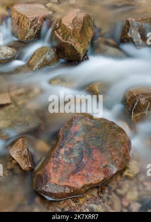 Ein roter Felsen liegt in Parfreys Glen Creek, Parfreys Glen State Natural Area, Sauk County, Wisconsin Stockfoto