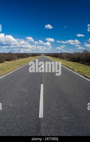 Rute in Pampas Landescape, Provinz La Pampa, Patagonien Argentinien Stockfoto