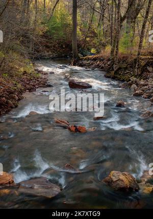 Baxter's Creek fließt im Frühjahr durch das Baxter's Hollow State Natural Area in den Baraboo Hills in Sauk County, Wisconsin Stockfoto