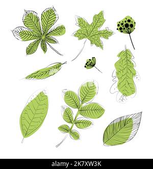 Grüne dekorative Herbstblätter. Vektorgrafik Stock Vektor