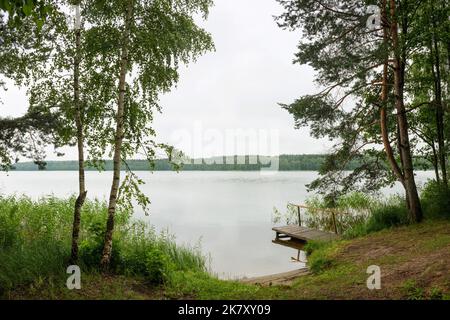 Ruhige Landschaft in freier Wildbahn - die Ufer des Sees Plissa in Weißrussland Stockfoto