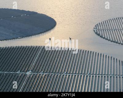 Schwimmende drehbare Solarmodule. Großes Solarsystem zur nachhaltigen Energieerzeugung. Grüner Strom Energiegewinnung aus der Sonne auf Stockfoto
