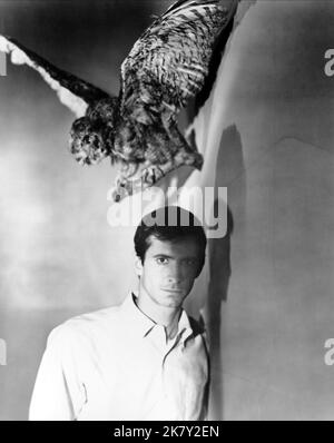 Anthony Perkins Film: Psycho (USA 1960) Charaktere: Norman Bates Regie: Alfred Hitchcock 29 January 1960 **WARNUNG** Dieses Foto ist nur für den redaktionellen Gebrauch bestimmt und unterliegt dem Copyright von UNIVERSAL und/oder des Fotografen, der von der Film- oder Produktionsfirma beauftragt wurde und darf nur durch Publikationen im Zusammenhang mit der Bewerbung des oben genannten Films reproduziert werden. Eine obligatorische Gutschrift an UNIVERSAL ist erforderlich. Der Fotograf sollte auch bei Bekanntwerden des Fotos gutgeschrieben werden. Ohne schriftliche Genehmigung der Film Company kann keine kommerzielle Nutzung gewährt werden. Stockfoto