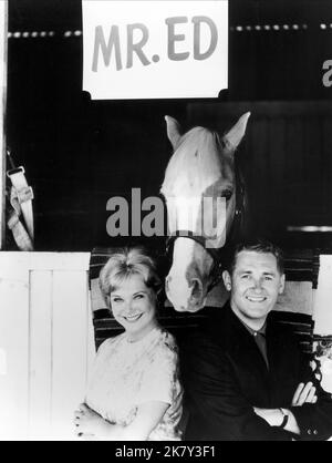 Connie Hines, Mister Ed & Alan Young Television: Mister Ed (TV-Serie) Charaktere: Carol Post, Er selbst. (145 Folgen, 1958-1966), Wilbur Post USA 1958-1966, 05. Januar 1961 **WARNUNG** Dieses Foto ist nur für redaktionelle Verwendung bestimmt und unterliegt dem Copyright von CBS und/oder dem von der Film- oder Produktionsfirma beauftragten Fotografen und kann nur durch Publikationen im Zusammenhang mit der Bewerbung des oben genannten Films reproduziert werden. Eine obligatorische Gutschrift an CBS ist erforderlich. Der Fotograf sollte auch bei Bekanntwerden des Fotos gutgeschrieben werden. Ohne schriftliche Genehmigung von t kann keine kommerzielle Nutzung gewährt werden Stockfoto