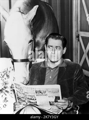 Mister Ed & Alan Young Television: Mister Ed (TV-Serie) Charaktere (145 Folgen, 1958-1966), Wilbur Post USA 1958-1966, 05. Januar 1961 **WARNUNG** Dieses Foto ist nur für redaktionelle Verwendung bestimmt und unterliegt dem Copyright von CBS und/oder dem von der Film- oder Produktionsfirma beauftragten Fotografen und kann nur durch Publikationen im Zusammenhang mit der Bewerbung des oben genannten Films reproduziert werden. Eine obligatorische Gutschrift an CBS ist erforderlich. Der Fotograf sollte auch bei Bekanntwerden des Fotos gutgeschrieben werden. Ohne schriftliche Genehmigung der Film Company kann keine kommerzielle Nutzung gewährt werden. Stockfoto