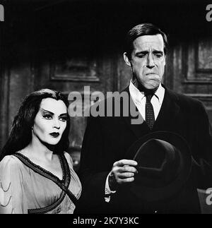 Yvonne De Carlo & Fred Gwynne Television: The Munsters (TV-Serie) Charaktere: Lily Munster, Herman Munster USA 1964-1966, 24. September 1964 **WARNUNG** Dieses Foto ist nur für redaktionelle Verwendung bestimmt und unterliegt dem Copyright von CBS und/oder dem von der Film- oder Produktionsfirma beauftragten Fotografen.Es kann nur von Publikationen im Zusammenhang mit der Bewerbung des oben genannten Films reproduziert werden. Eine obligatorische Gutschrift an CBS ist erforderlich. Der Fotograf sollte auch bei Bekanntwerden des Fotos gutgeschrieben werden. Ohne schriftliche Genehmigung der Film Company kann keine kommerzielle Nutzung gewährt werden. Stockfoto