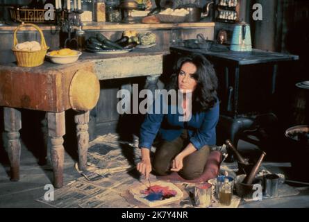 Elizabeth Taylor Film: The Sandpiper (USA 1965) Charaktere: Laura Reynolds Regie: Vincente Minnelli 23 June 1965 **WARNUNG** Dieses Foto ist nur für den redaktionellen Gebrauch bestimmt und unterliegt dem Copyright von MGM und/oder dem Fotografen, der von der Film- oder Produktionsfirma beauftragt wurde, und kann nur durch Publikationen im Zusammenhang mit der Bewerbung des oben genannten Films reproduziert werden. Eine obligatorische Gutschrift an MGM ist erforderlich. Der Fotograf sollte auch bei Bekanntwerden des Fotos gutgeschrieben werden. Ohne schriftliche Genehmigung der Film Company kann keine kommerzielle Nutzung gewährt werden. Stockfoto