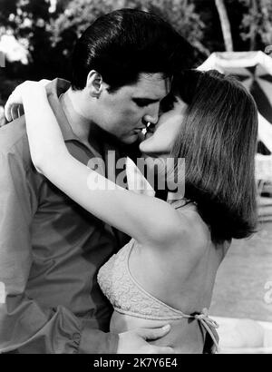 Elvis Presley & Shelley Fabares Film: Spinout; California Holiday (USA 1966) Charaktere: Mike McCoy,Cynthia Foxhugh Regie: Norman Taurog 17 October 1966 **WARNUNG** Dieses Foto ist nur für redaktionelle Zwecke bestimmt und unterliegt dem Copyright von MGM und/oder dem von der Film- oder Produktionsfirma beauftragten Fotografen und kann nur von Publikationen im Zusammenhang mit der Bewerbung des oben genannten Films reproduziert werden. Eine obligatorische Gutschrift an MGM ist erforderlich. Der Fotograf sollte auch bei Bekanntwerden des Fotos gutgeschrieben werden. Ohne schriftliche Genehmigung der Film Company kann keine kommerzielle Nutzung gewährt werden. Stockfoto