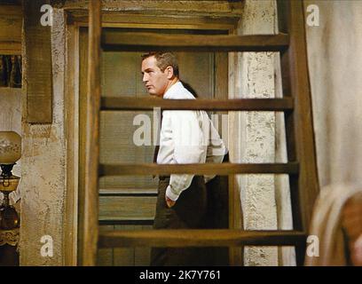 Paul Newman Film: Torn Curtain (USA 1966) Charaktere: Professor Michael Armstrong Regie: Alfred Hitchcock 14 July 1966 **WARNUNG** Dieses Foto ist nur für den redaktionellen Gebrauch bestimmt und unterliegt dem Copyright von UNIVERSAL und/oder dem Fotografen, der von der Film- oder Produktionsfirma beauftragt wurde und darf nur durch Publikationen im Zusammenhang mit der Bewerbung des oben genannten Films reproduziert werden. Eine obligatorische Gutschrift an UNIVERSAL ist erforderlich. Der Fotograf sollte auch bei Bekanntwerden des Fotos gutgeschrieben werden. Ohne schriftliche Genehmigung der Film Company kann keine kommerzielle Nutzung gewährt werden. Stockfoto