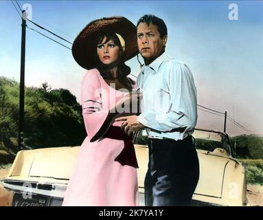 Claudia Cardinale & Tony Curtis Film Don't Make Waves (USA 1967) Charaktere: Laura Califatti, Carlo Cofield Regie: Alexander Mackendrick 20. Juni 1967 **WARNUNG** dieses Foto ist nur für redaktionelle Zwecke bestimmt und unterliegt dem Copyright von MGM und/oder dem Fotografen, der von der Film or Production Company zugewiesen wurde. Es kann nur durch Veröffentlichungen in Verbindung mit der Werbung für den oben genannten Film reproduziert werden. Eine obligatorische Gutschrift an MGM ist erforderlich. Der Fotograf sollte ebenfalls angerechnet werden, wenn er bekannt ist. Ohne schriftliche Genehmigung der Film Company kann keine kommerzielle Nutzung gewährt werden. Stockfoto