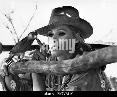 Ursula Andress Film The Southern Star (1969) Regie: Sidney Hayers 28. Mai 1969 **WARNUNG** dieses Foto ist nur für redaktionelle Zwecke bestimmt und unterliegt dem Urheberrecht von COLUMBIA PICTURES und/oder dem Fotografen, der von der Film or Production Company beauftragt wurde. Eine obligatorische Gutschrift für COLUMBIA PICTURES ist erforderlich. Der Fotograf sollte ebenfalls angerechnet werden, wenn er bekannt ist. Ohne schriftliche Genehmigung der Film Company kann keine kommerzielle Nutzung gewährt werden. Stockfoto